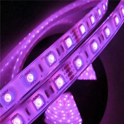 17W/M 5050 piscine imperméable menée de la puissance en watts 12v 24V IP68 a mené des lumières de bande