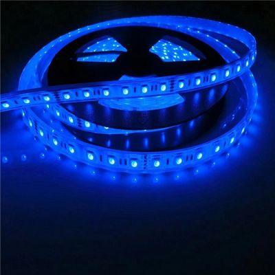 17W/M 5050 piscine imperméable menée de la puissance en watts 12v 24V IP68 a mené des lumières de bande