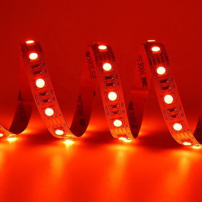 24V SMD 5050 Rgbw a mené la bande 4 dans les lumières de 1 bande 5m imperméables légères blanches chaudes pour extérieur