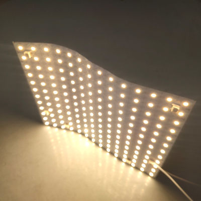 Contre-jour accessible mené polychrome rêveur de la feuille RVB 5050SMD individuellement Digital