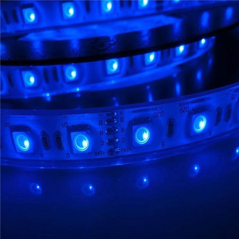 17W/M 5050 piscine imperméable menée de la puissance en watts 12v 24V IP68 a mené des lumières de bande