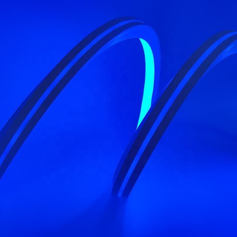 Le silicone accessible 12v fléchissent 5m le rêve de bande de lampe au néon que colorent le RVB des mots de 16 X de 16MM DIY